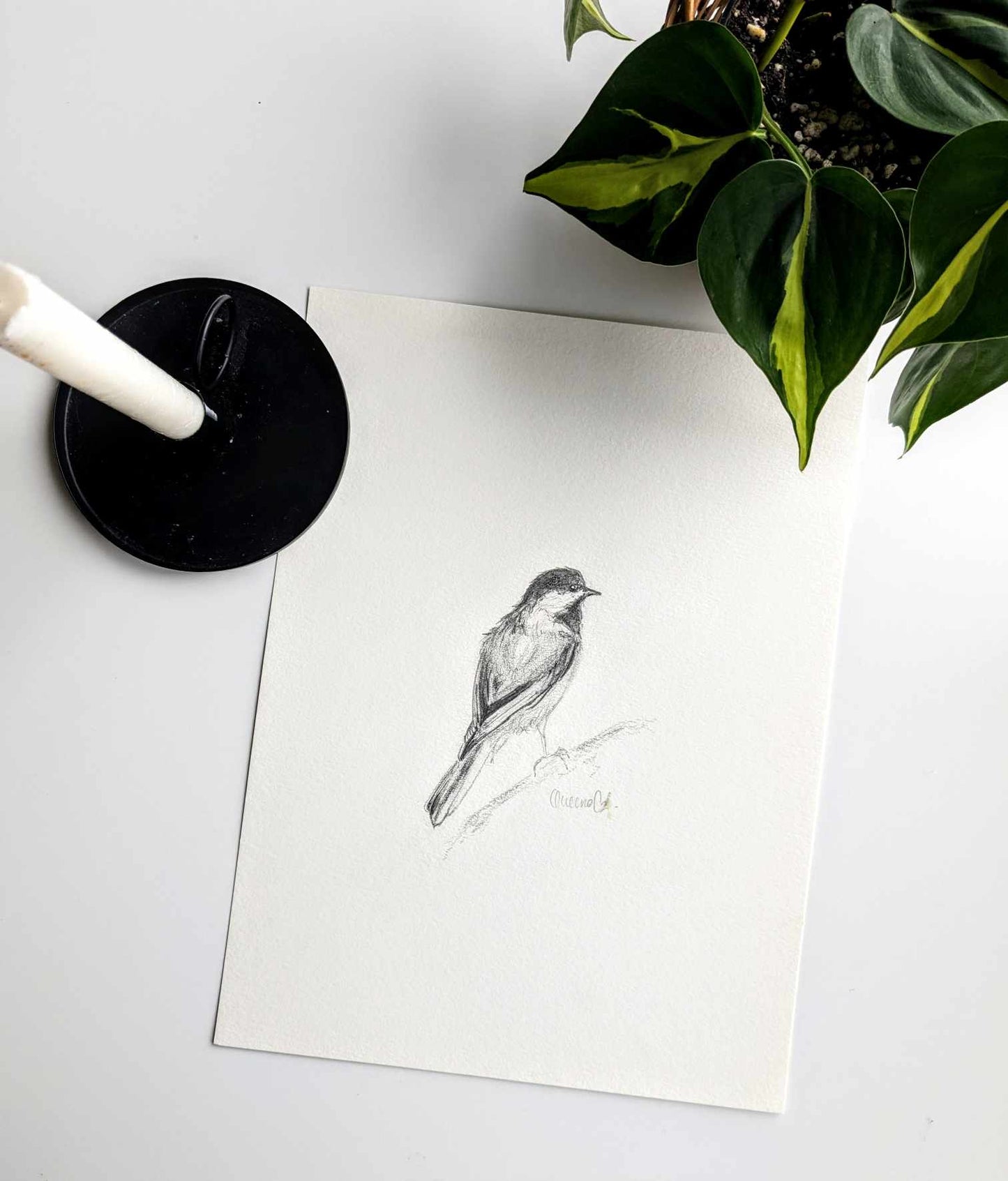 Oiseau