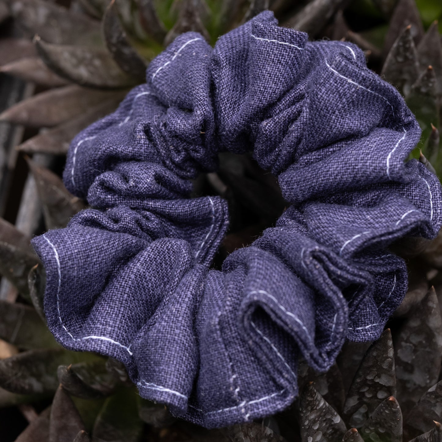 Percy - Extra fluffy