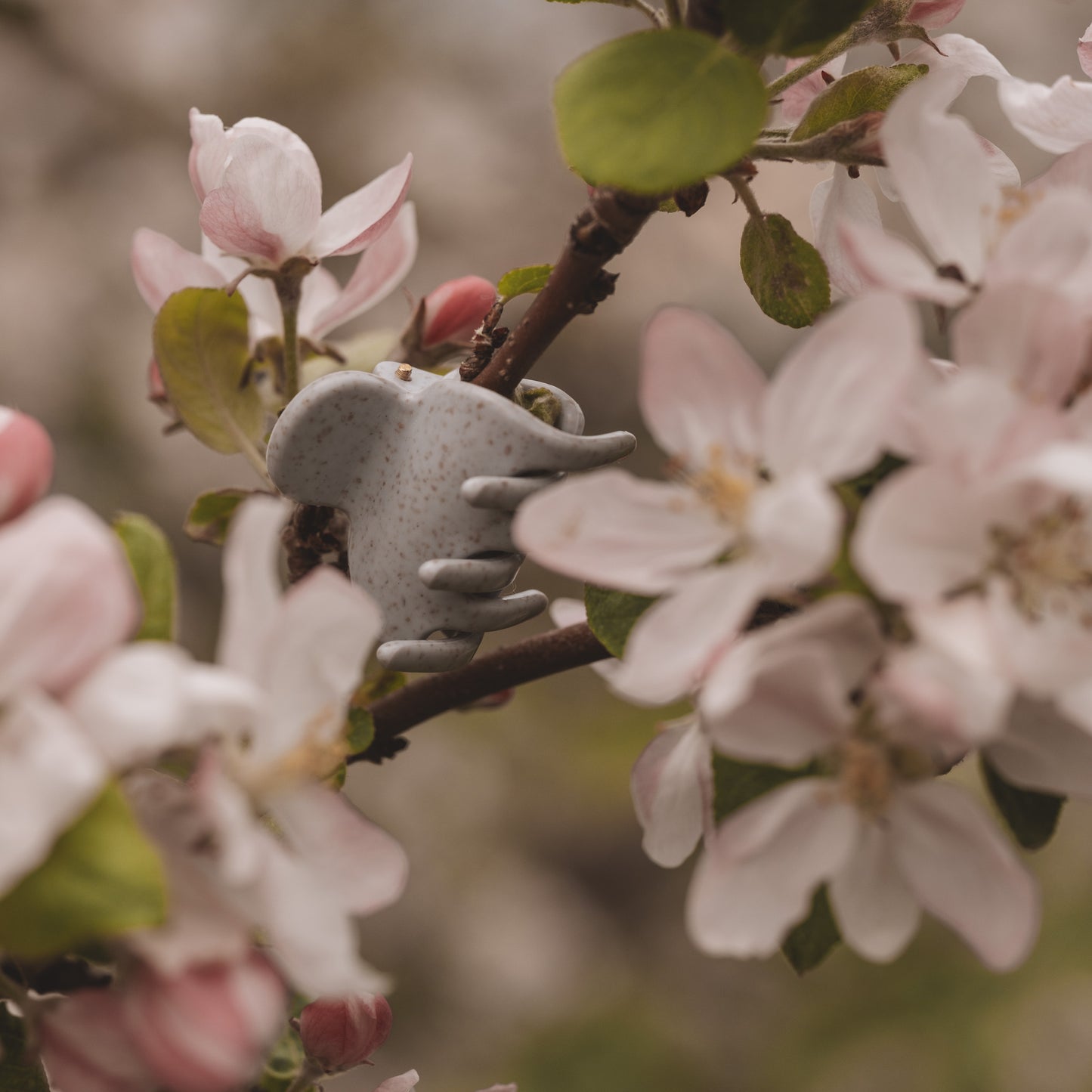 Anna pince en paille de blé -  Gris