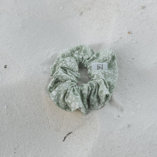 Laurier vert - Petit